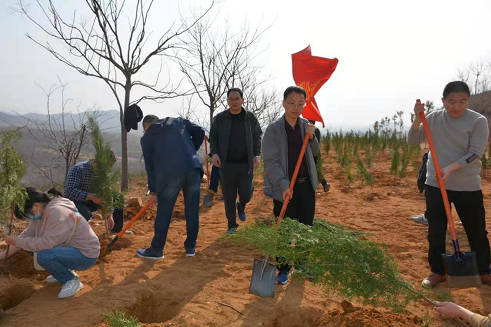 文博中心項目部臨時黨支部開展義務(wù)植樹主題黨日活動